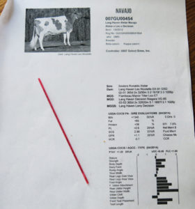 Artificial Insemination